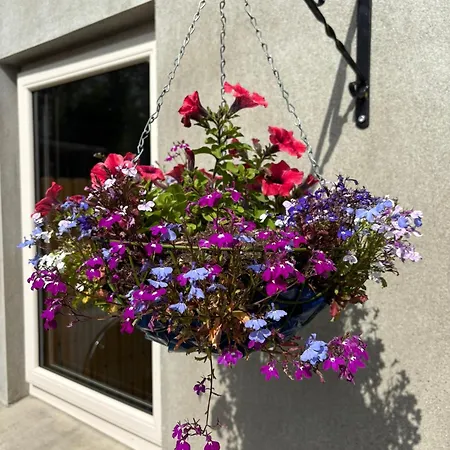 Old School Road Sleeps 6 別荘