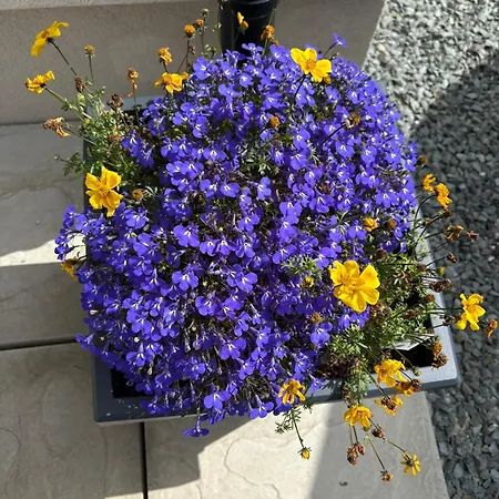 Old School Road Sleeps 6 *