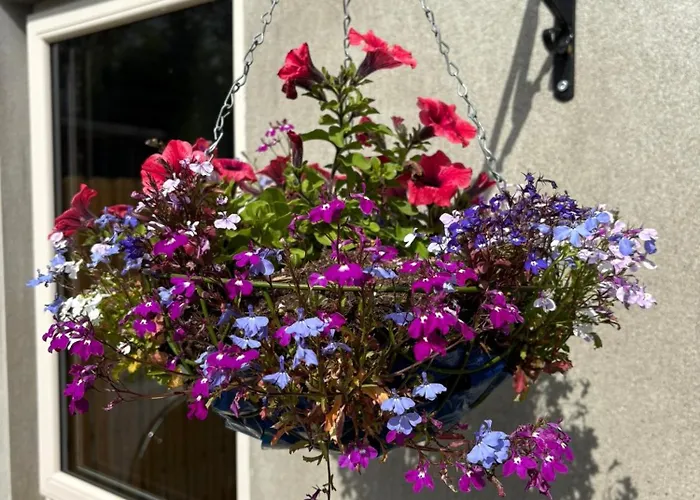 Old School Road Sleeps 6 Сasa de vacaciones